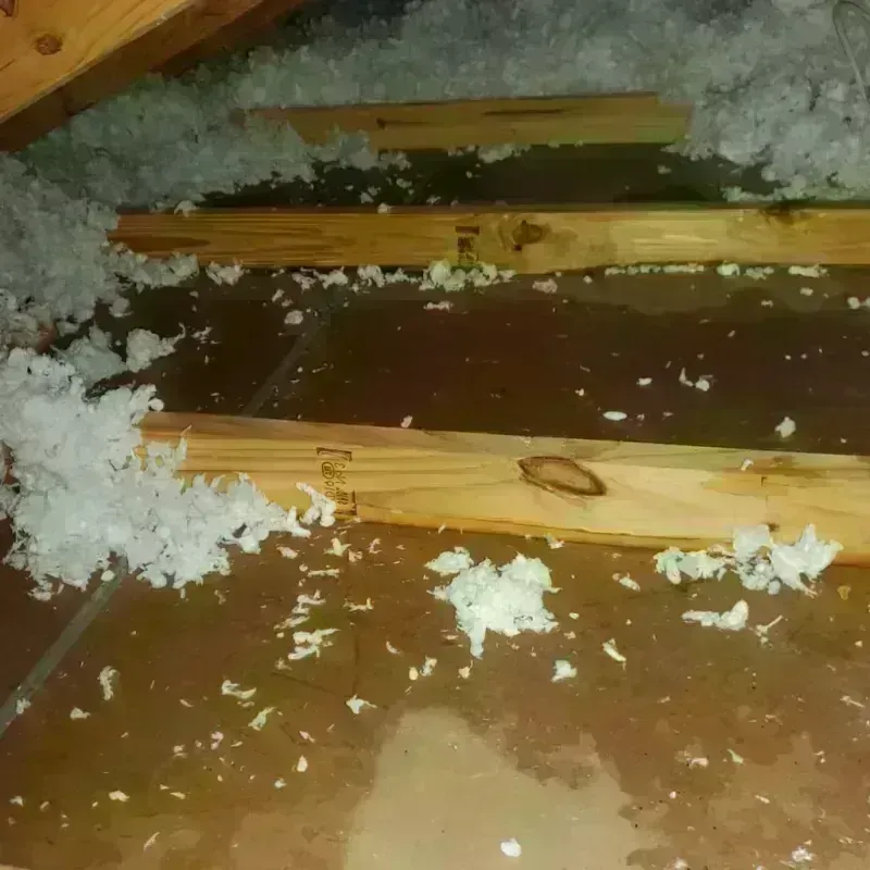 Attic Water Damage in Martinsburg, WV